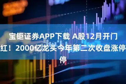 宝钜证券APP下载 A股12月开门红！2000亿龙头今年第二次收盘涨停