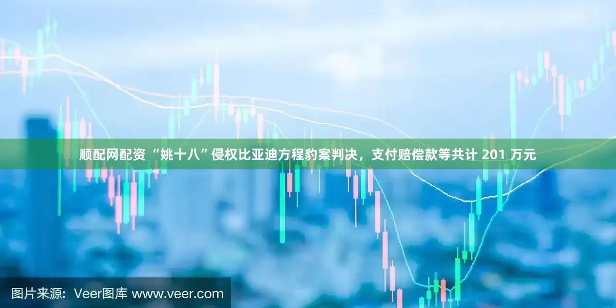 顺配网配资 “姚十八”侵权比亚迪方程豹案判决，支付赔偿款等共计 201 万元